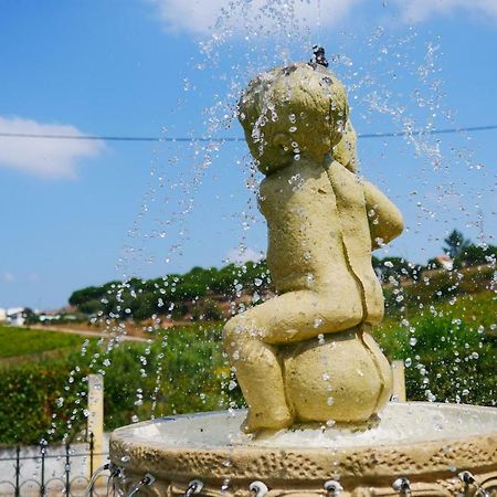 Granja Mg Daire Bombarral Dış mekan fotoğraf