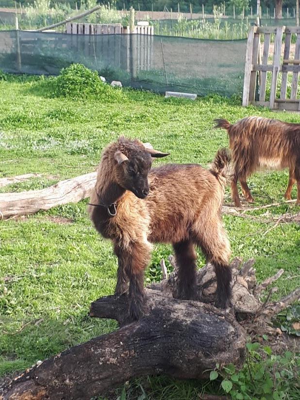 Granja Mg Daire Bombarral Dış mekan fotoğraf